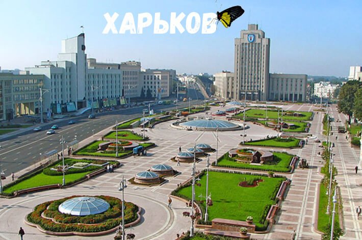 babochki_Kharkov