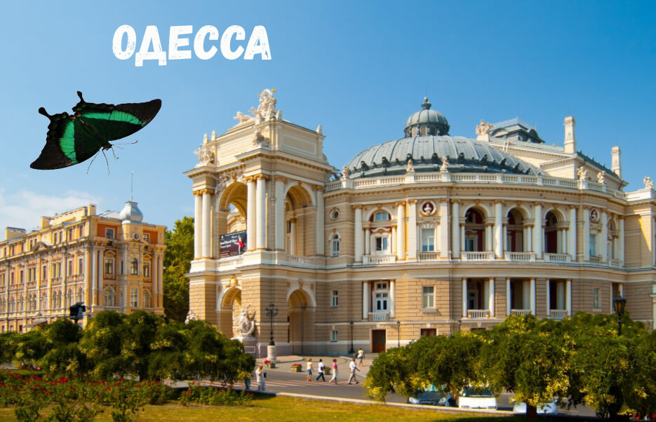 babochki_odessa