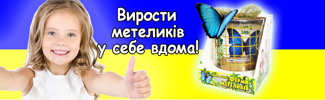 слайдер бабочкарий